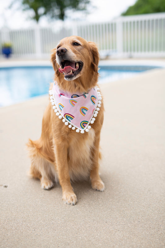 Rainbow dog bandana, rainbow baby, pregnancy announcement, pride dog bandana, over the collar dog bandana, LGBTQ, Pom Pom dog bandana, pink,