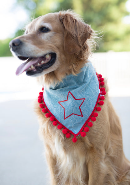 Fourth of July Dog Bandana - Rockstar