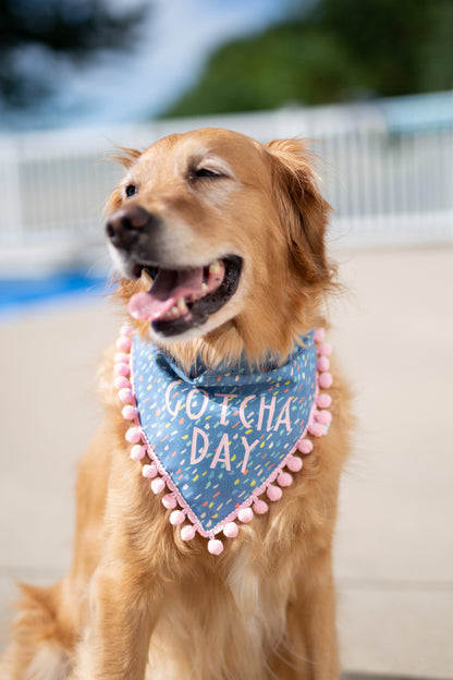 Gotcha Day Dog Bandana - Blue