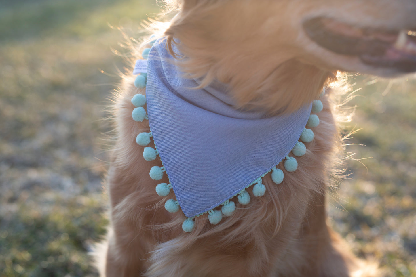Easter Dog Bandana - Reese