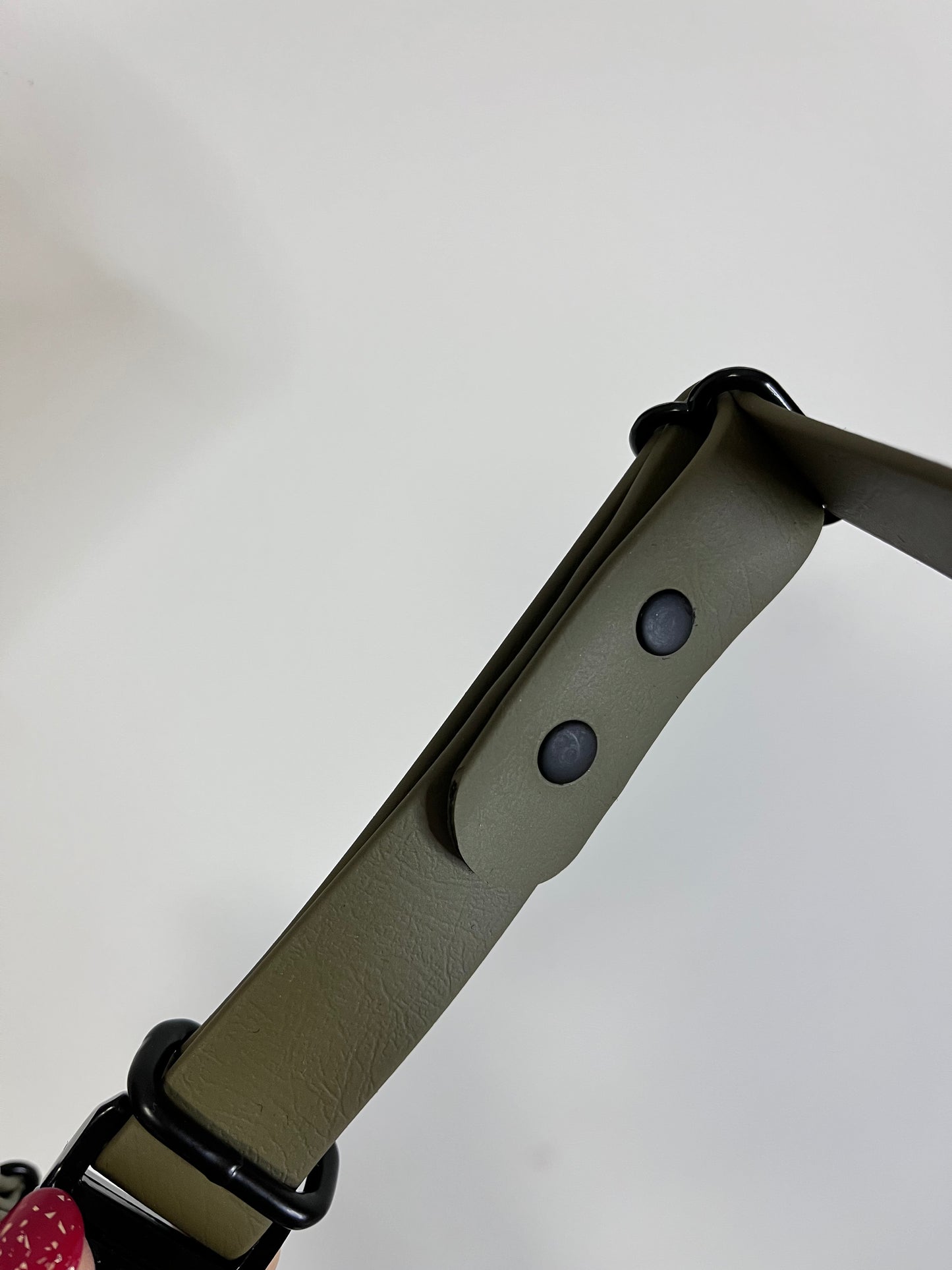 Olive collar with black hardware
