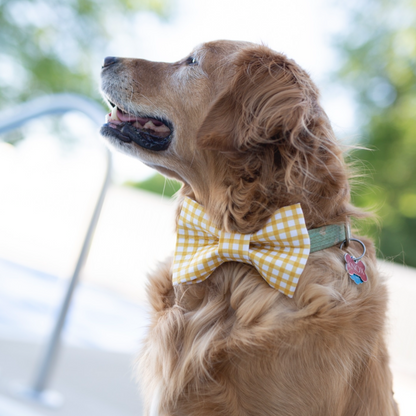 Summer Bow tie