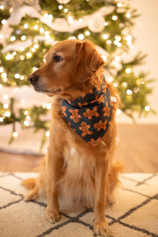 Navy gingerbread man dog bandana