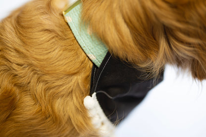 Ghost Dog Bandana