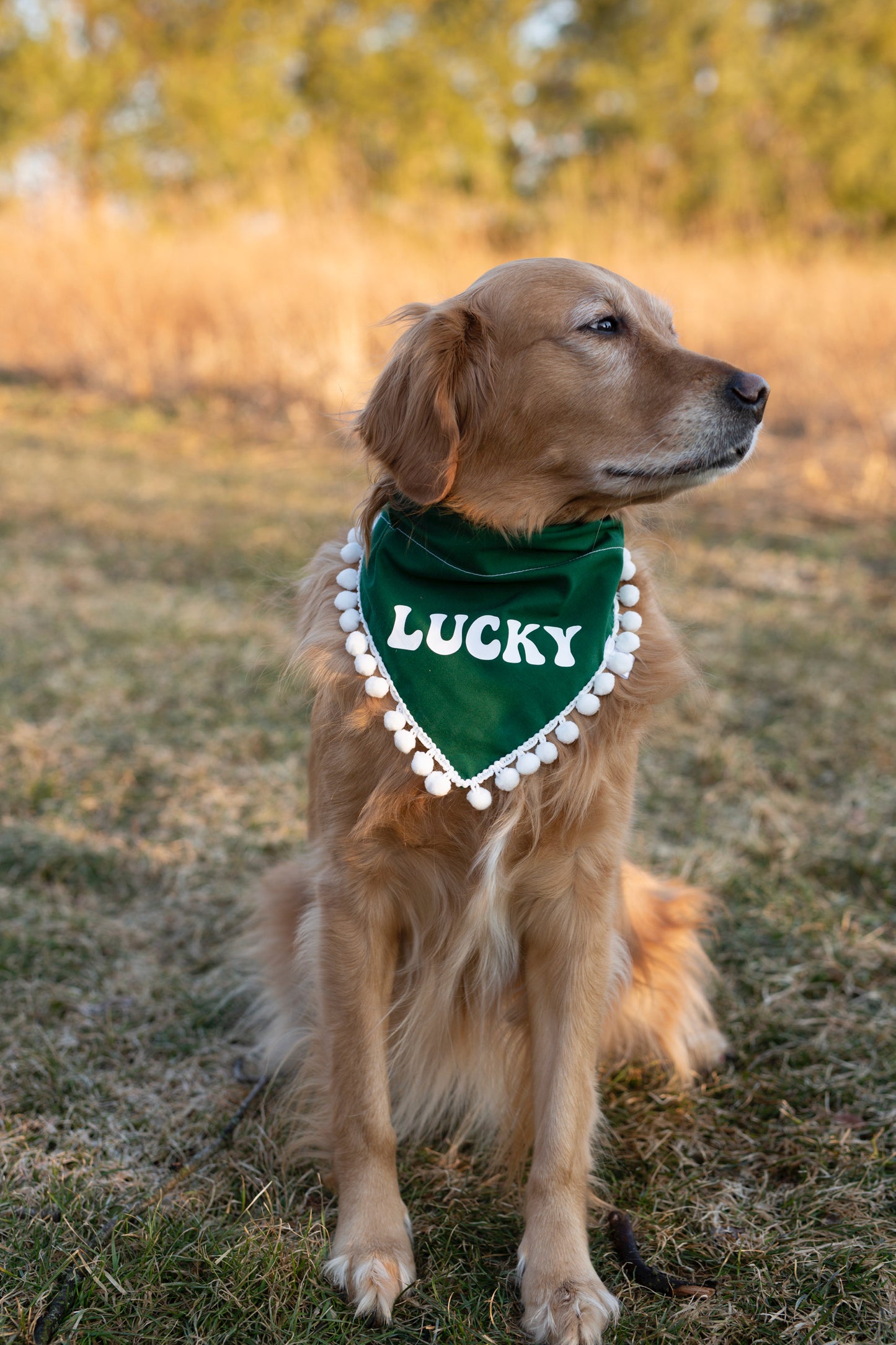 Lucky Dog bandana