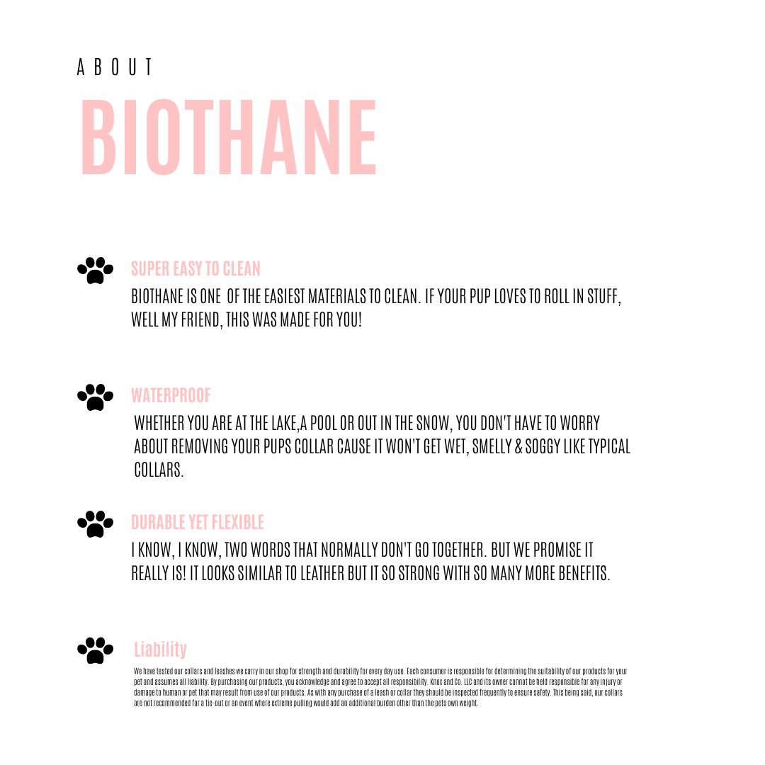 Burgundy collar with Brass Hardware