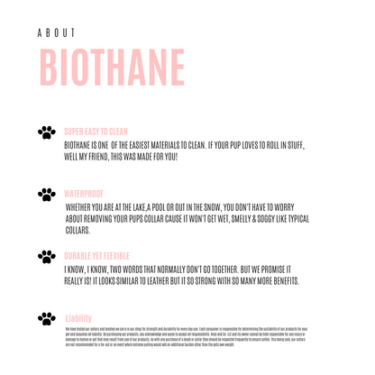 Burgundy collar with Brass Hardware