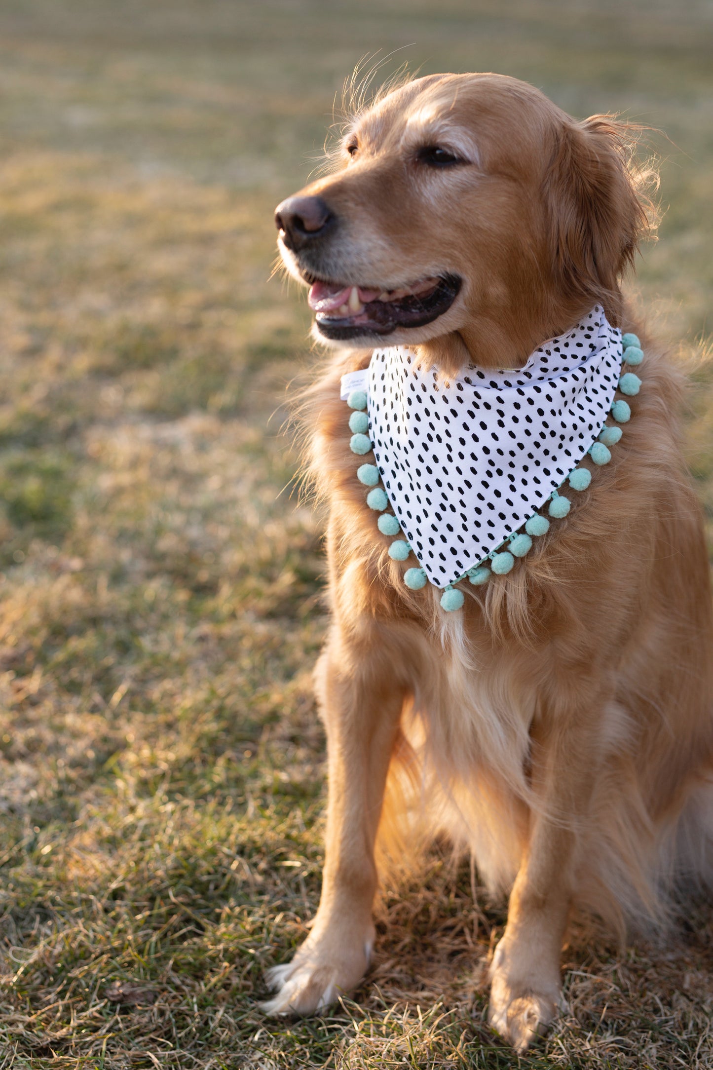 Payton (Easter ) Reversible