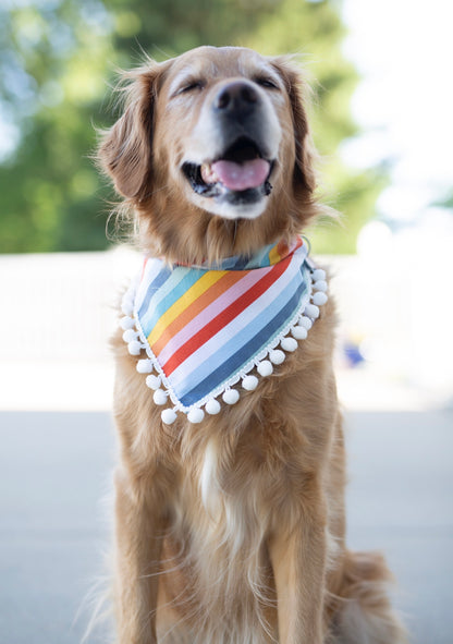 Rainbow Dog Bandana