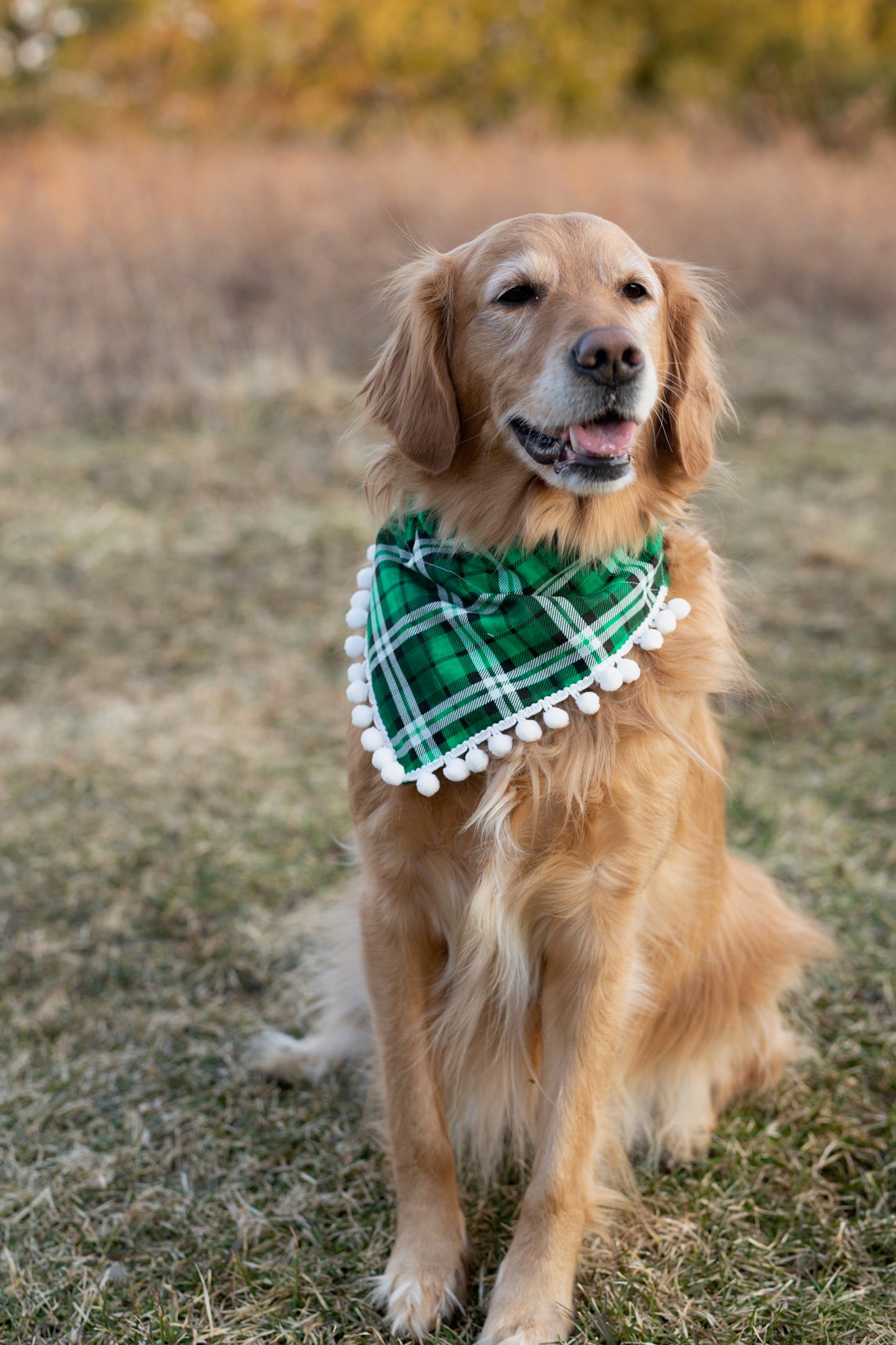 St. Patty's Day Dog Bandana