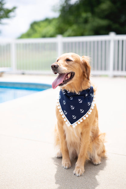 Nautical, Anchor dog bandana