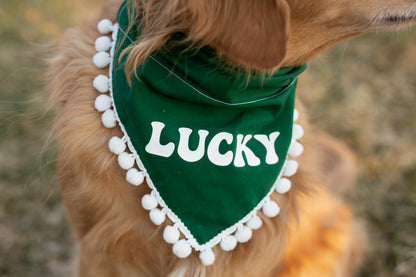 Lucky Dog bandana