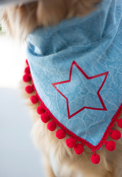 Fourth of July Dog Bandana - Rockstar