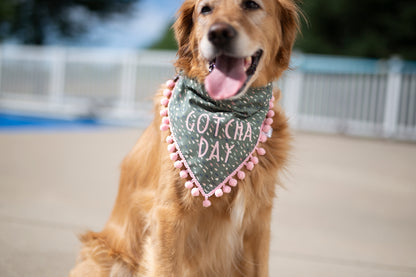 Gotcha Day Dog Bandana - Olive Green