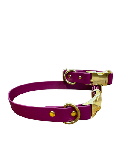 Burgundy collar with Brass Hardware