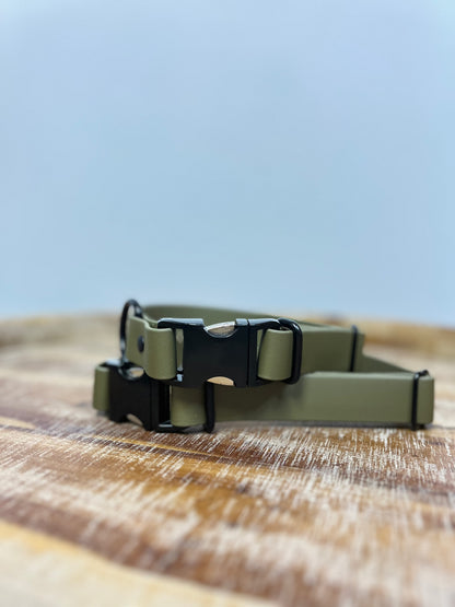 Olive collar with black hardware