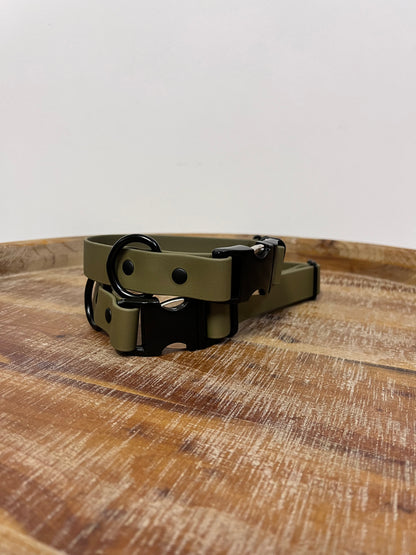 Olive collar with black hardware