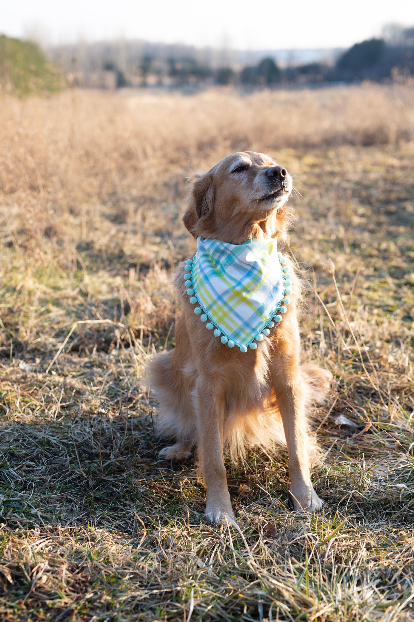 Easter Dog Bandana - Reese