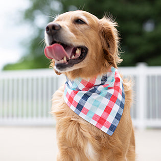 Corie REVERSIBLE - (Summer Dog Bandana)